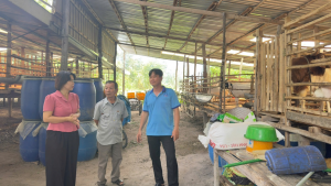 TỪ 4 CON DÊ GIỐNG ĐẾN MÔ HÌNH CHĂN NUÔI DÊ HIỆU QUẢ   TẠI KHU PHỐ 4